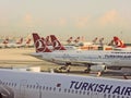 Turkish Airlines jets at Istanbul Airport