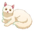 Turkish Angora Cat Cartoon Animal Illustration