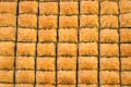 Turkish baklava Royalty Free Stock Photo