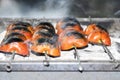 Tomatoes on barbecue (mangal) Royalty Free Stock Photo