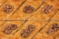 Turkish baklava with walnuts. Close-up. Traditional Oriental Dessert Royalty Free Stock Photo