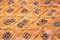 Turkish baklava with walnuts. Close-up. Traditional Oriental Dessert Royalty Free Stock Photo