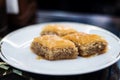 Turkish baklava with walnuts Royalty Free Stock Photo