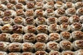 Turkish baklava with walnuts Royalty Free Stock Photo