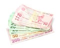 Turkish banknotes. Turkish Lira ( TL ) Royalty Free Stock Photo