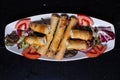 Turkish Borek with cheese Royalty Free Stock Photo