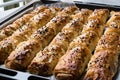 Turkish Borek with Sesame Seeds in Baking Tray / Burek Royalty Free Stock Photo