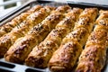 Turkish Borek with Sesame Seeds in Baking Tray / Burek Royalty Free Stock Photo