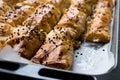 Turkish Borek with Sesame Seeds in Baking Tray / Burek Royalty Free Stock Photo