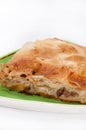 Turkish burek with meat on a green plate Royalty Free Stock Photo