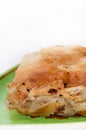 Turkish burek with meat on a green plate Royalty Free Stock Photo