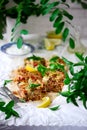 Turkish cabbage casserole with minced meat Royalty Free Stock Photo