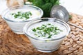 Turkish Cacik Yogurt with Cucumber Slices and Olive Oil Tzatziki Sauce Royalty Free Stock Photo