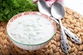 Turkish Cacik Yogurt with Cucumber Slices and Olive Oil Tzatziki Sauce Royalty Free Stock Photo