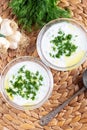 Turkish Cacik Yogurt with Cucumber Slices and Olive Oil Tzatziki Sauce Royalty Free Stock Photo