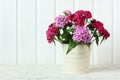 Turkish carnation bouquet on a white background