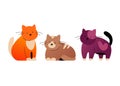 Turkish cats - modern flat design style single isolated image