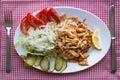 Turkish Chicken Doner Kebab with rice Royalty Free Stock Photo