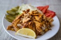 Turkish Chicken Doner Kebab with rice