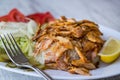 Turkish Chicken Doner Kebab with rice Royalty Free Stock Photo