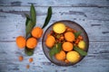 Turkish citrus fruits