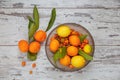 Turkish citrus fruits