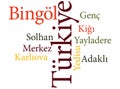 Turkish city Bingol subdivisions in word clouds