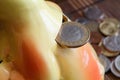 Turkish coin with a denomination of one lira in the hole of piggy bank, coins background - back side Royalty Free Stock Photo