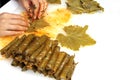 Turkish cuisine. Homemade Sarma - Rice wrapped in grape leaves