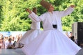 Whirling Dervish Royalty Free Stock Photo