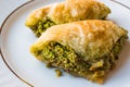 Turkish Dessert Sobiyet Baklava with Pistachio / Fistikli Baklava.