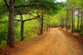 Turkish dirt road Royalty Free Stock Photo