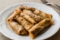 Turkish Dolma Lahana Sarmasi / Cabbage Rolls. Royalty Free Stock Photo