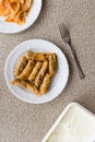 Turkish Dolma Lahana Sarmasi / Cabbage Rolls with yogurt Royalty Free Stock Photo