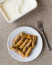 Turkish Dolma Lahana Sarmasi / Cabbage Rolls with yogurt Royalty Free Stock Photo