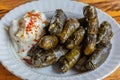 Turkish dolma - vine leaves stuffed with meat Royalty Free Stock Photo