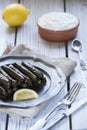 Turkish dolmades Royalty Free Stock Photo