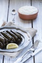 Turkish dolmades Royalty Free Stock Photo