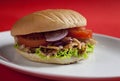 Turkish doner kebab Royalty Free Stock Photo