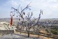 Turkish flag and blue evil eye talismans hang off a tree amongst fairy chimneys of Pigeon valley, Cappadocia, Turkey