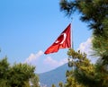 Turkish Flag. Waving over blue sky and trees