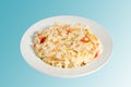 Turkish food - Rice Pilaf Royalty Free Stock Photo