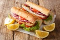 Turkish food sandwich balik Ekmek with grilled mackerel, tomatoes, onions and lettuce served with lemon closeup. horizontal Royalty Free Stock Photo