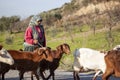 Turkish Goatherd with a herd of goats Royalty Free Stock Photo
