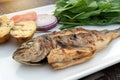Turkish or Greek restaurant main course, sea bream fish grilled food dinner cuisine culture. Delicious grilled sea bream fish with