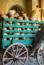 Turkish Handmade Pots