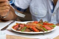 Turkish Iskender Doner Royalty Free Stock Photo