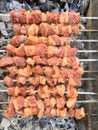 Turkish kebab, turkish known as Mangal kebab Royalty Free Stock Photo