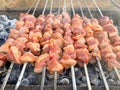 Turkish kebab, turkish known as Mangal kebab Royalty Free Stock Photo