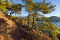 Turkish landscape with Olympos mountain, beach green forest